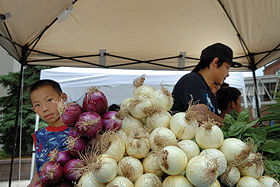 Picture of onions and a kid