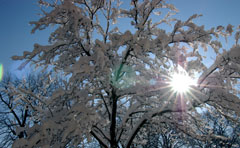 Cold weather