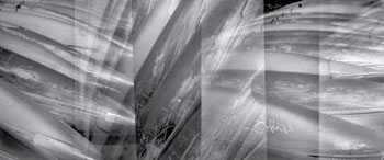 canoes image
