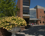 Summer at Augsburg