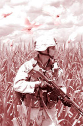 Soldier in a corn field