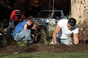 Augsburg environmental students installing a rain garden.
