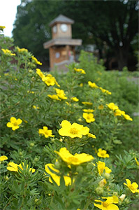 Picture of a previous senior class gift sitting in the quad.