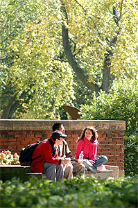 Pictures of Auggies enjoying the quad in the summertime.