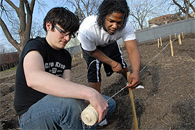 Picture of people working in garden.