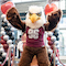 Auggie the Eagle cheering in front of a balloon arch